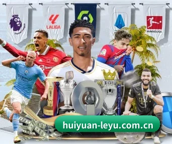 专业赛事服务, 为你而来(leyu)